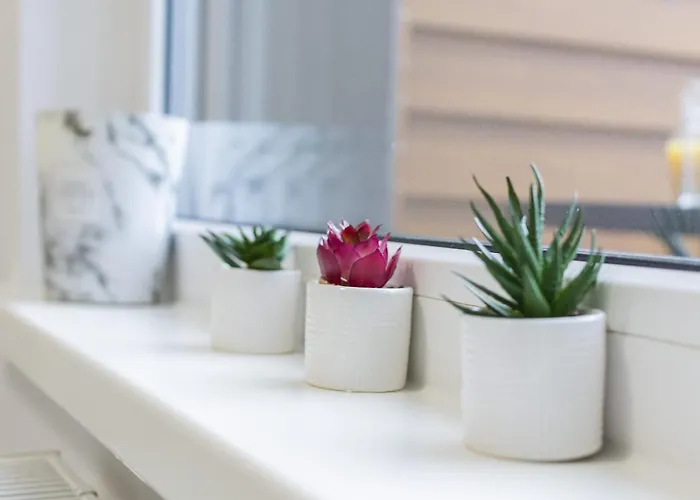 Kosciuszki Gdynia By Renters Гдыня